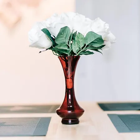 City Apartment Singen * Singen